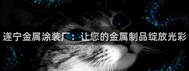 美高梅外套多少钱一件