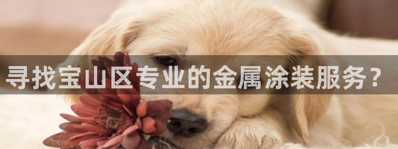 美高梅酒店标志