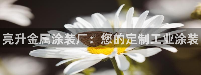 美高梅住一晚多少钱