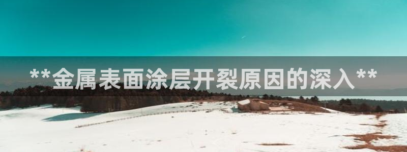 美狮美高梅百度百科