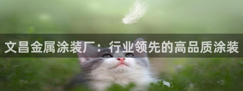美高梅音乐会公开售票吗