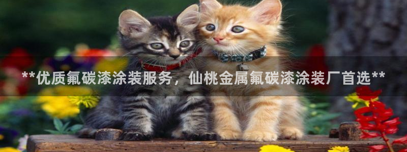 美狮美高梅酒店客房多少间