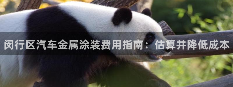 美高梅游戏安卓手机版官网