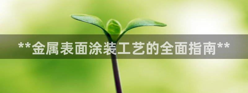 美高梅酒店全年自助