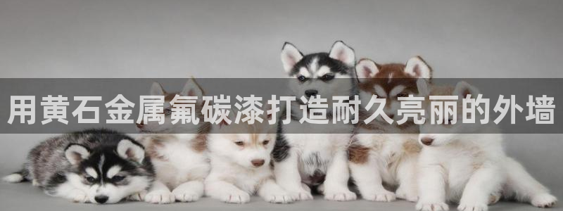 美高梅官方安卓版中文版