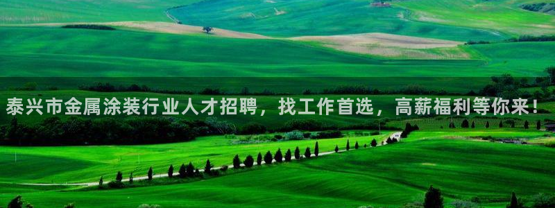 美高梅中国控股有限公司 介绍