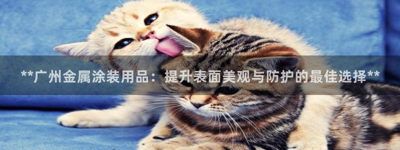 美高梅ip