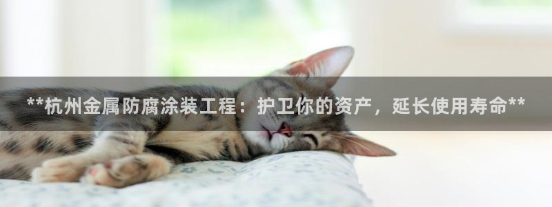 美高梅便携旅行装佛手柑护发素