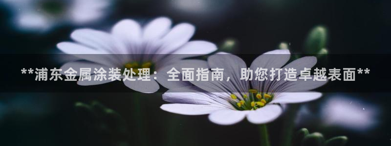 美狮美高梅酒店发财车