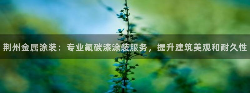 美高梅游戏攻略