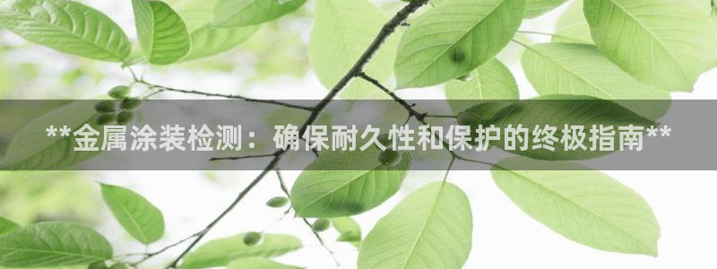 美高梅会员卡被别人用了