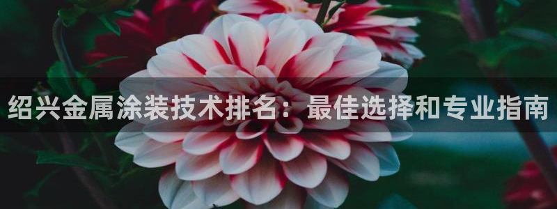 澳门几个美高梅
