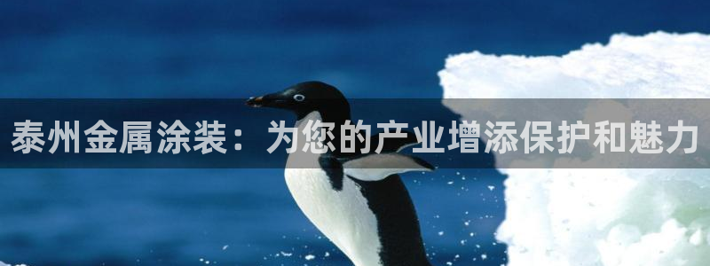 澳门新开美高梅的酒店