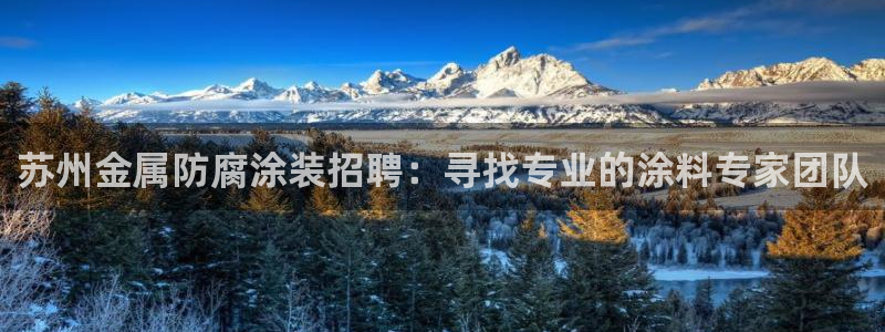 美高梅网络科技有限公司：苏州金属防腐涂装