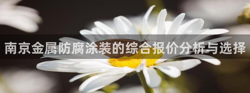 美高梅酒店wifi