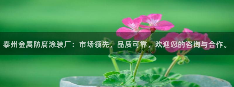 美高梅黑卡最低多少积分
