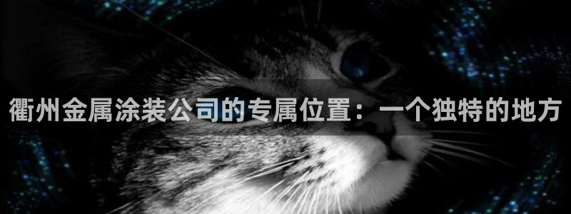 美高梅水疗怎么样：衢州金属涂装公司的专属