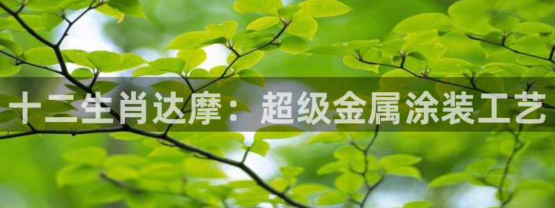 美高梅酒店哪些城市有：十二生肖达摩：超级