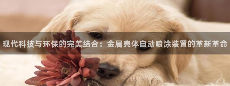 美高梅股票代码