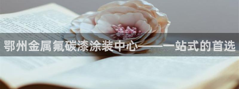 美高梅酒店年卡自助