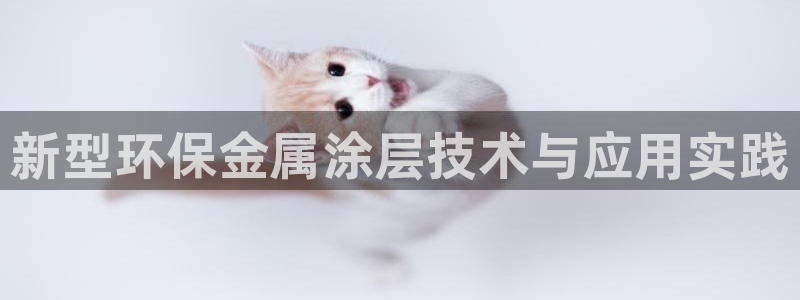 美高梅拉斯维加斯大酒店