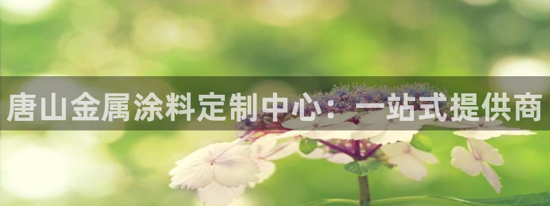 美高梅酒店房间