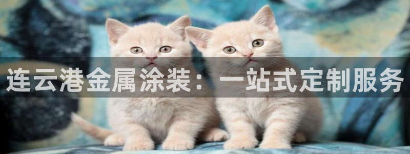 美高梅别墅是精装吗还是毛坯