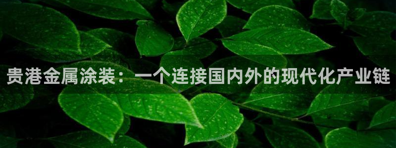 美狮美高梅酒店客房：贵港金属涂装：一个连