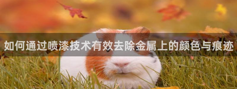 美高梅会员卡等级怎么看：如何通过喷漆技术