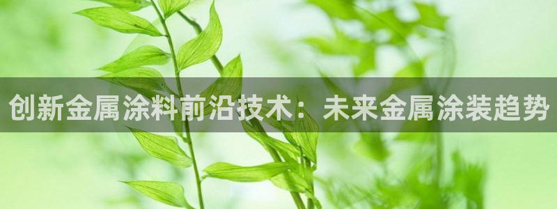 美高梅酒店英文：创新金属涂料前沿技术：未