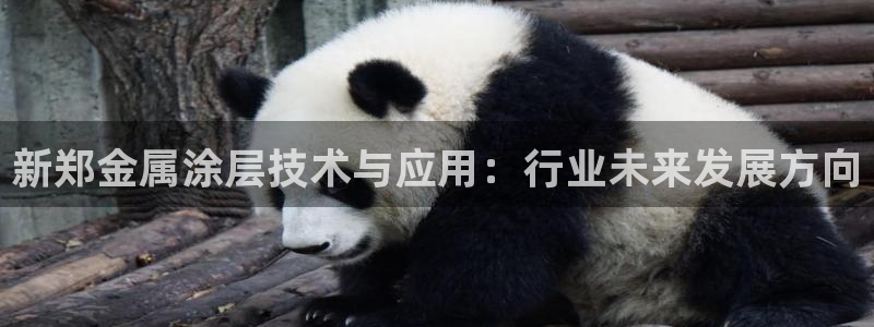 美高梅别墅售楼处