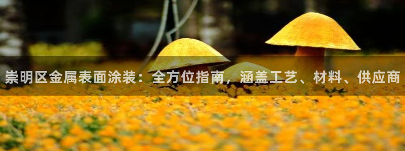 美高梅会员卡打折吗：崇明区金属表面涂装：