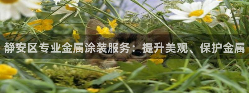 美高梅ip：静安区专业金属涂装服务：提升