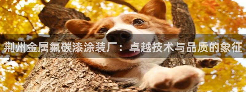 美高梅会员卡级别分类