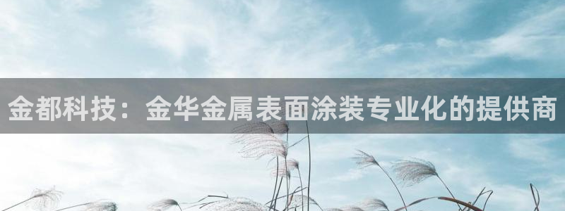 美高梅酒店bazaar