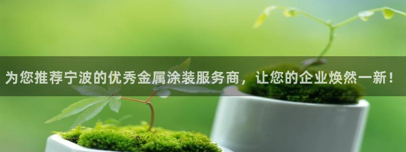 美高梅空中海洋秀