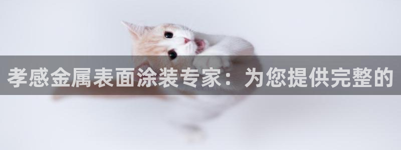 美高梅酒店工资怎么样