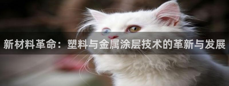 美高梅国际酒店集团创始人