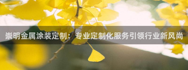 美高梅酒店上海