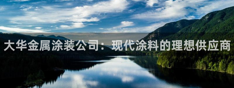 美高梅是谁的资产