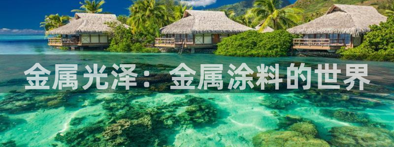 美高梅股票今天怎么了