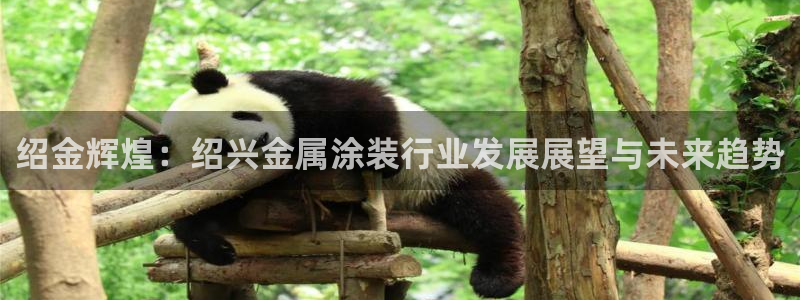 美狮美高梅酒店外观图片