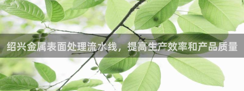 美高梅会员卡如何申请