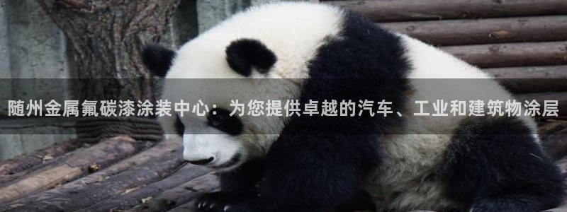 美高梅中国股吧
