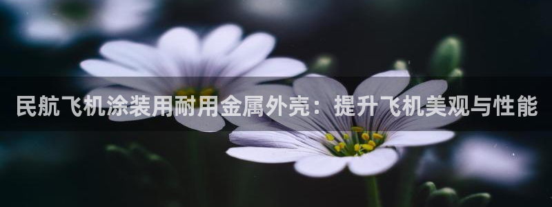 美高梅百款游戏