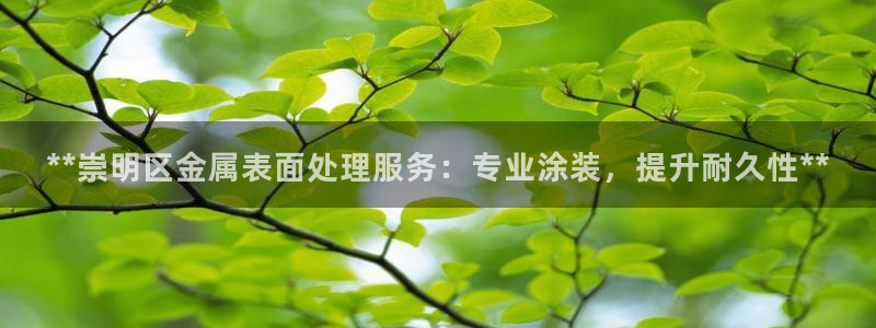 美狮美高梅酒店谁开的