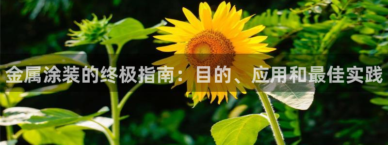 美高梅中国集团简介
