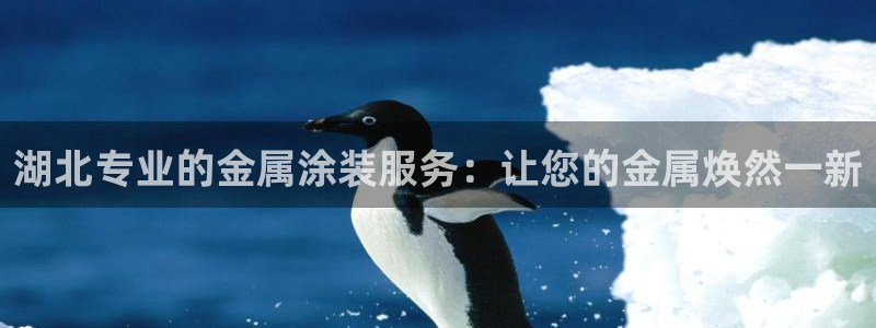 美高梅大酒店是那个