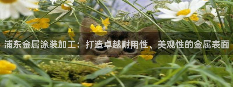 美高梅二手房