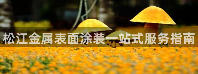 美高梅别墅地址